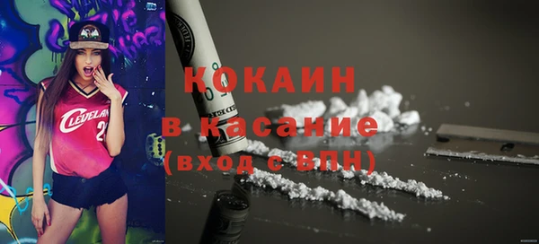гашик Алексеевка
