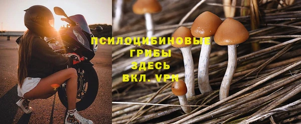 синтетический гашиш Алексин