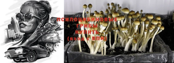 прущая мука Абаза