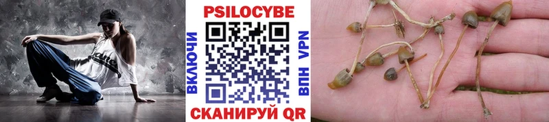 Псилоцибиновые грибы мицелий  где купить   Брянск 