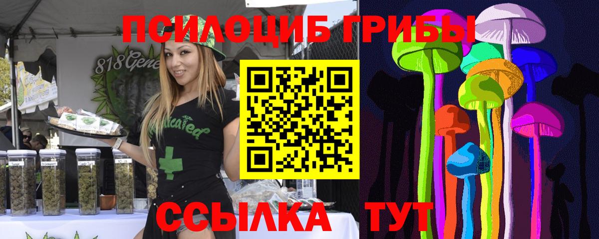 Брянск  Псилоцибиновые грибы прущие грибы  Вход с VPN 