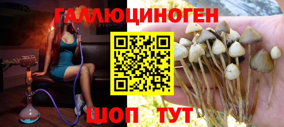 Псилоцибиновые грибы мицелий Брянск